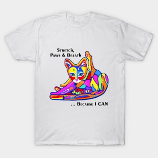 PicatsoCats Yoga Cat T-Shirt